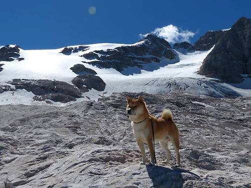 星球大战式篮球,布伦森率哥斯拉湖人爆冷撕裂长城吉林