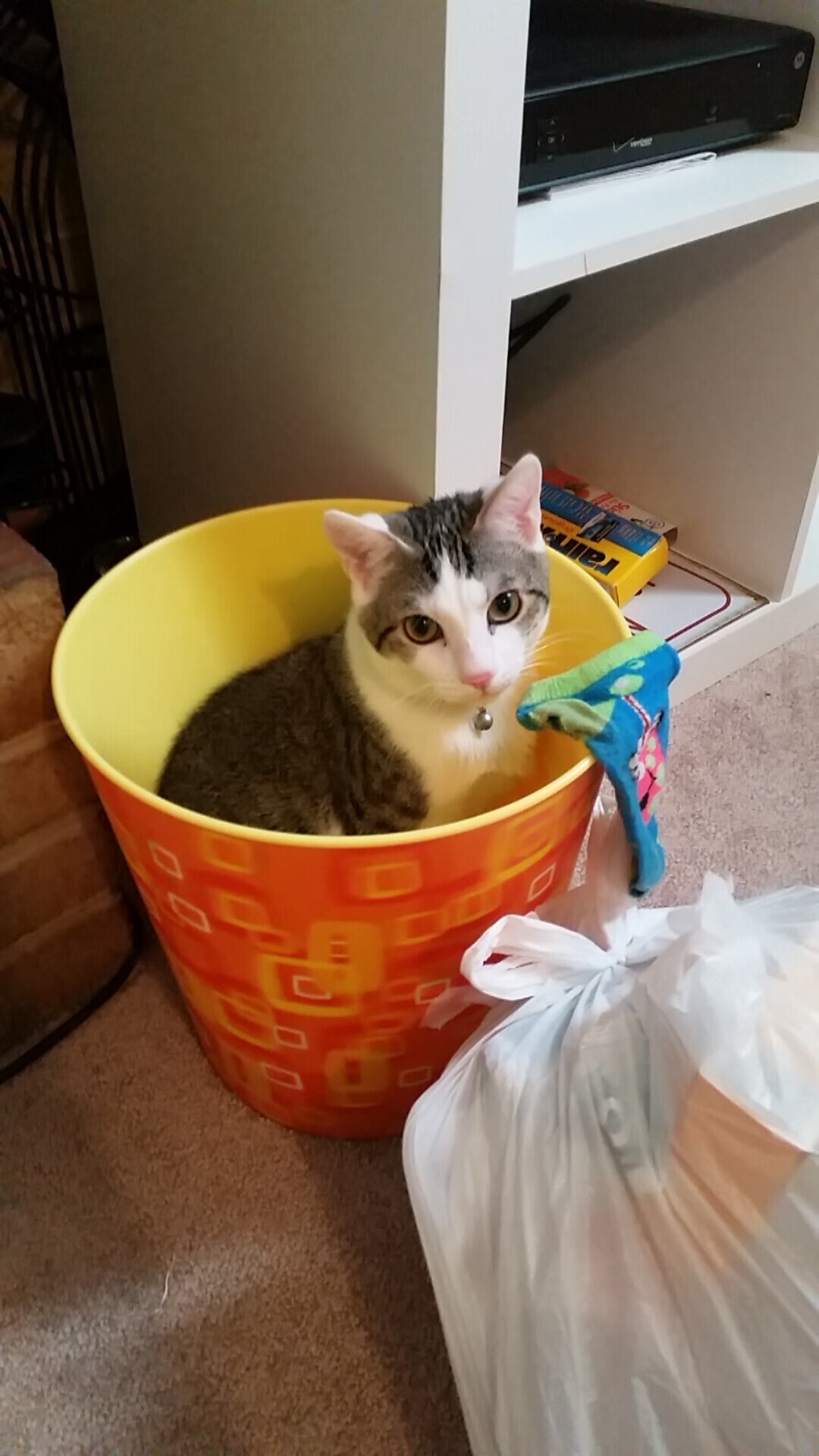 诺坎普篮筐前的守门员，当库尔图瓦的掌心笼罩西决之夜