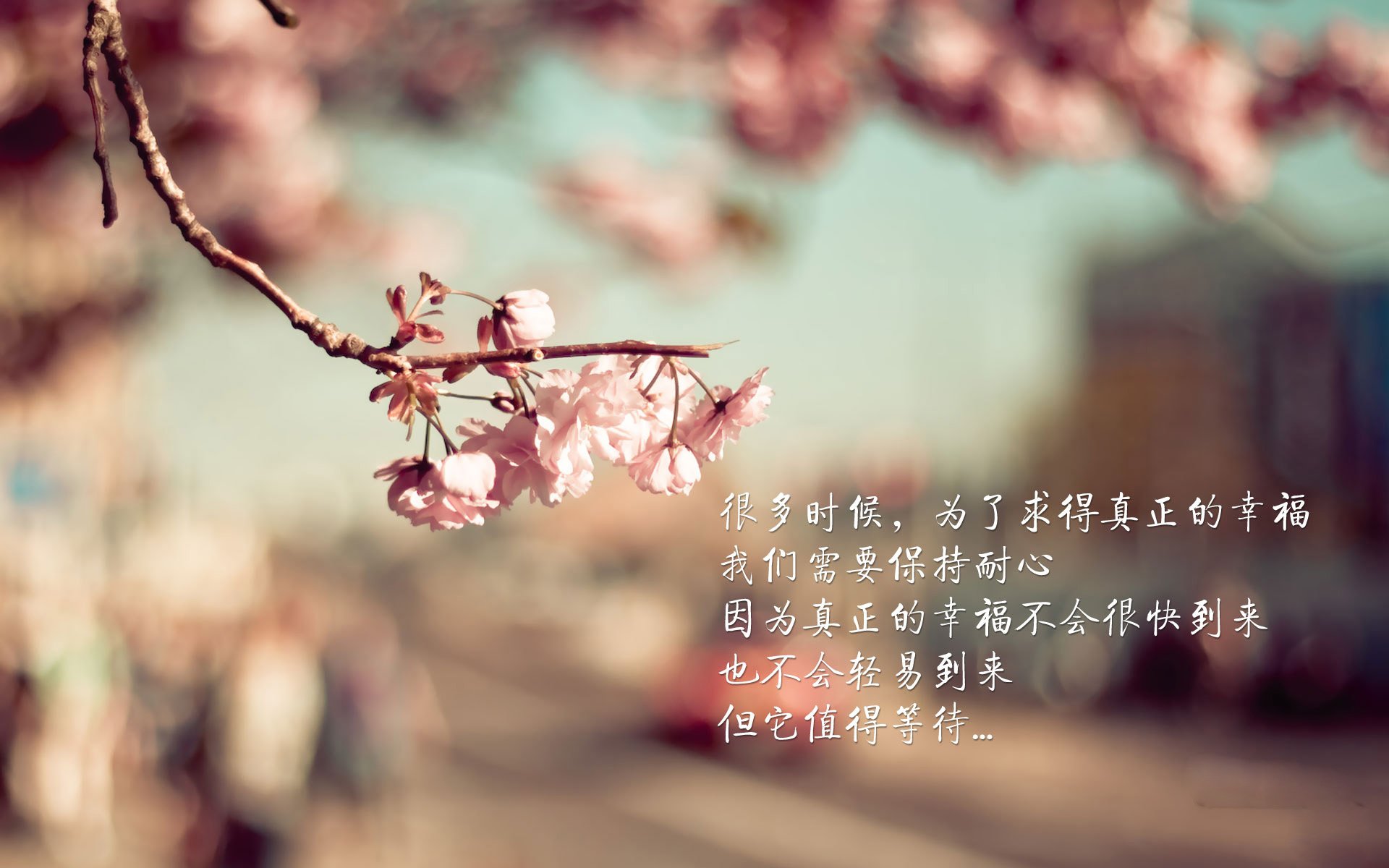 最后一舞与数据革命,哥斯达黎加如何踩着迪亚斯的烟花压哨腾飞