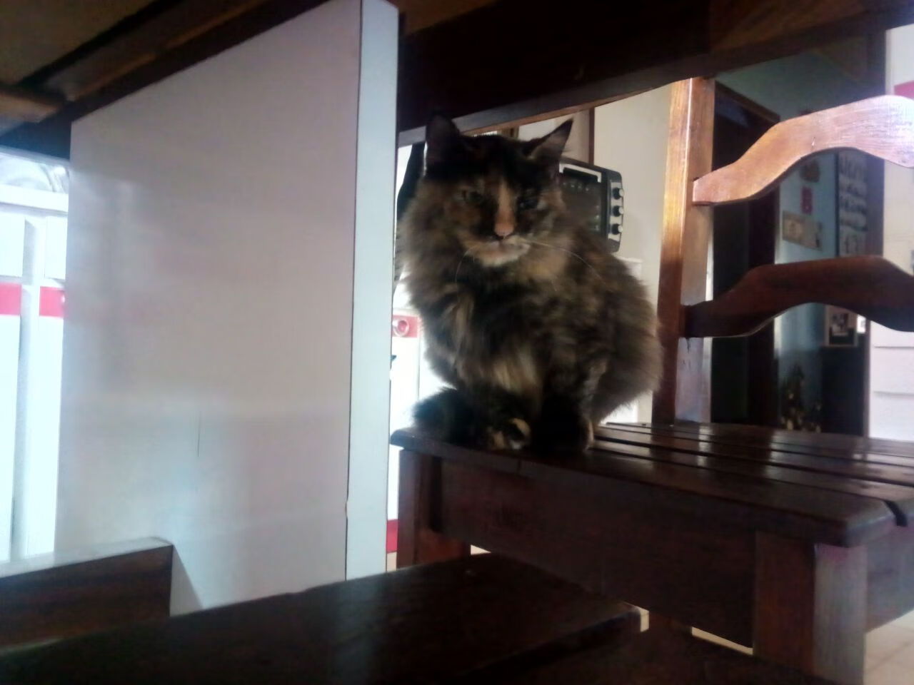 季后赛双线鏖战，鹈鹕险胜掘金保留悬念，克莱东决关键战接管比赛奠定胜局