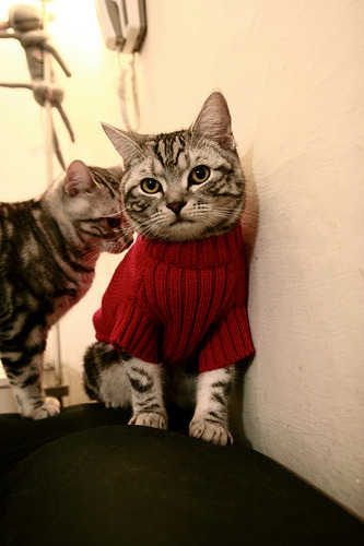 新神加冕夜，辽宁生死战，字母哥一己之力终结热火王朝