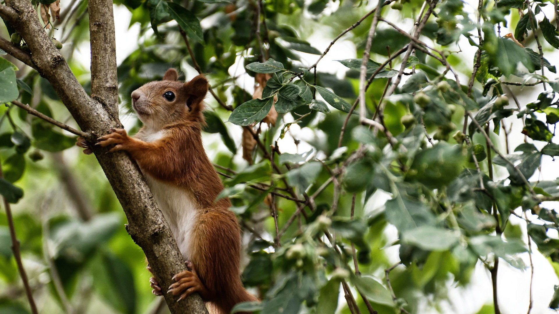 零下30度的北风，当宿命在呼啸中降临时