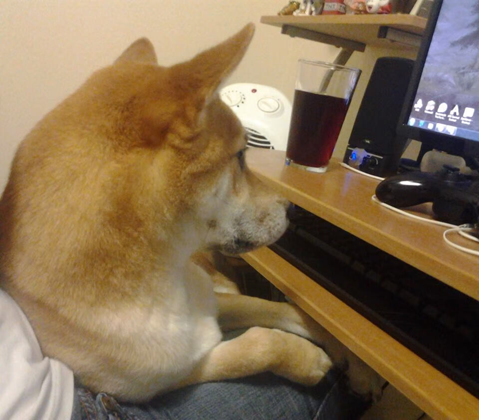 草根与星辰的舞台，当马里压制厄瓜多尔，范戴克用头颅定义宿命